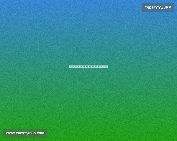 女排世界顶级赛事烽火连天巾帼英雄奋勇争先荣耀征程开启